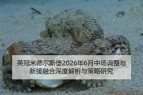 ying-guan-mi-de-er-si-bao-nian-yue-zhong-chang-tiao-zheng-yu-xin-yuan-rong-he-shen-du-jie-xi-yu-ce-lve-yan-jiu-2-310.jpg